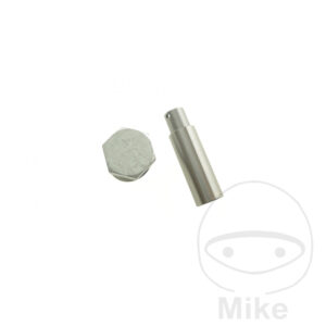 Tendeur de chaîne de distribution (Pièce