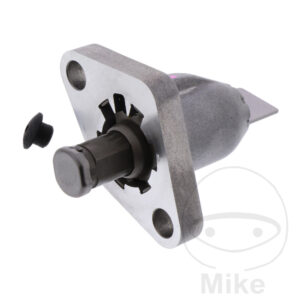 Tendeur de chaîne de distribution (Pièce