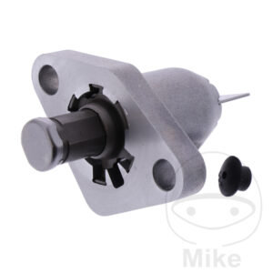 Tendeur de chaîne de distribution (Pièce