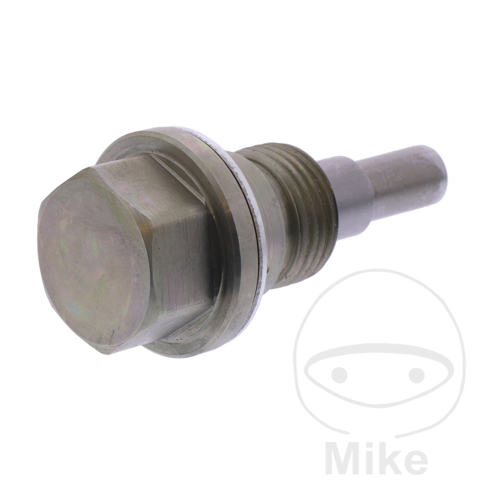 Tendeur de chaîne (Pièce origine OEM) Tendeur de chaîne (Pièce origine OEM)