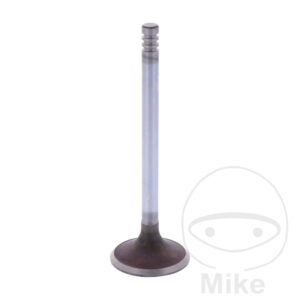 Soupape D'admission Siebenrock