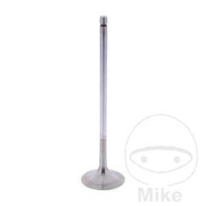 Soupape échappement (Pièce origine)