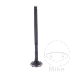 VENT AUSLASS (Pièce origine OEM)