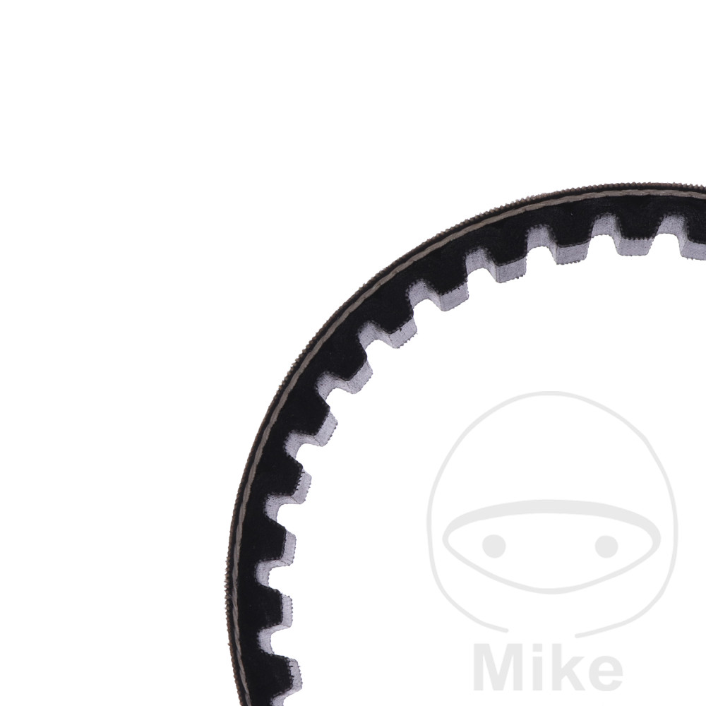 Courroie de Transmission 18.5X830 Mitsub Courroie de Transmission 18.5X830 Mitsub – Image 2