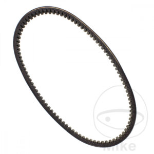 Courroie de Transmission 30.0X1038