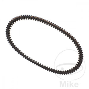 Courroie de Transmission 18.9X769 Mitsub