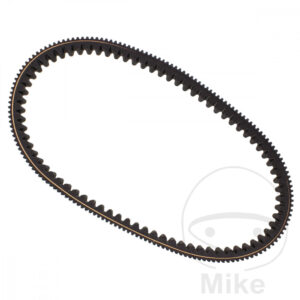 Courroie de Transmission 30.7X876 Mitsub