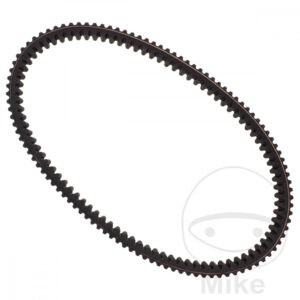 Courroie de Transmission 30.0X1016 Mitsu