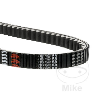 Courroie de Transmission JT Belt