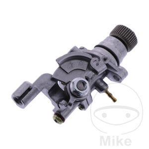 Pompe à Huile Complète