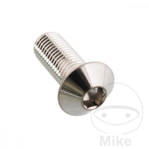 Vis à tête bombée