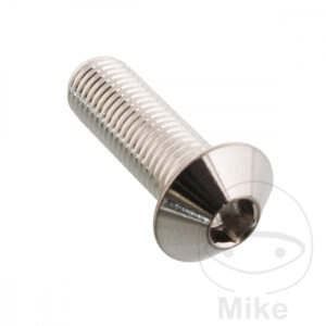 Vis à tête bombée