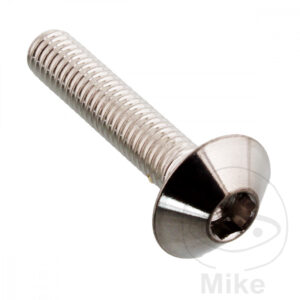 Vis à tête bombée