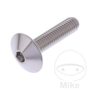 Vis à tête bombée