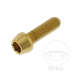 Vis à tête BTR conique