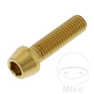 Vis à tête BTR conique