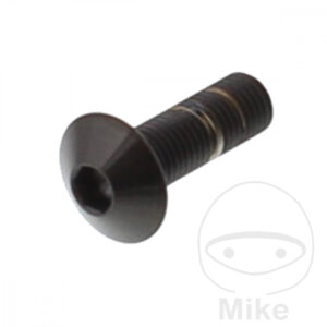 Vis à tête bombée