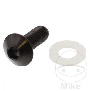 Vis à tête bombée