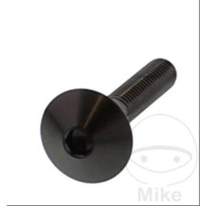 Vis à tête bombée