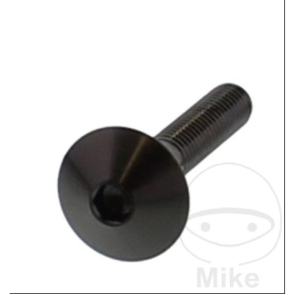 Vis à tête bombée Vis à tête bombée