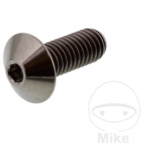 Vis à tête bombée