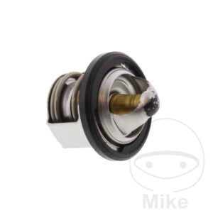 Pièce THERMOSTAT OEM