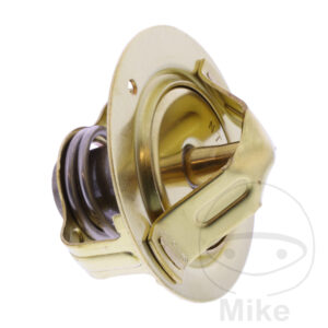 Pièce THERMOSTAT OEM