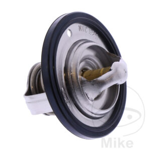 Pièce THERMOSTAT OEM