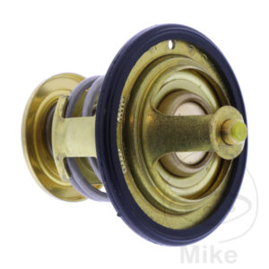 Thermostat (Pièce origine OEM)