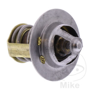 Thermostat (Pièce origine OEM)