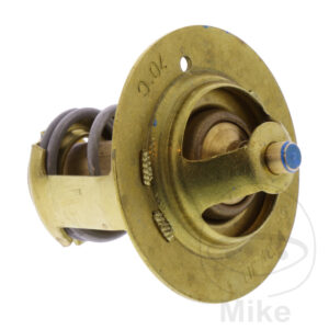 Thermostat (Pièce origine OEM)