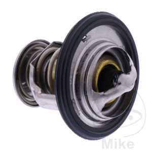 Thermostat (Pièce origine OEM)