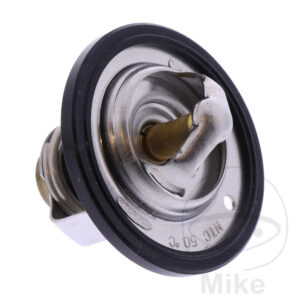 Thermostat (Pièce origine OEM)