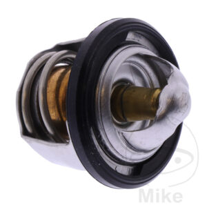 Thermostat (Pièce origine OEM)