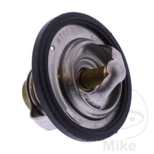 Thermostat (Pièce origine OEM)