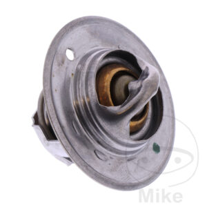 Thermostat (Pièce origine OEM)