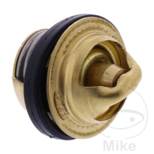 Thermostat (Pièce origine OEM)