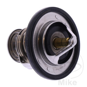 Thermostat (Pièce origine OEM)