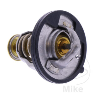 Thermostat (Pièce origine OEM)