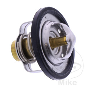 Thermostat (Pièce origine OEM)