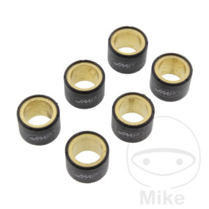 Galet de variateur 20 g JMP