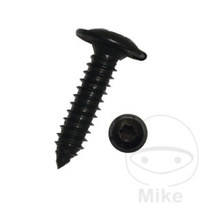 SHEET METAL SCREW WITH FLANGE 3.9X19