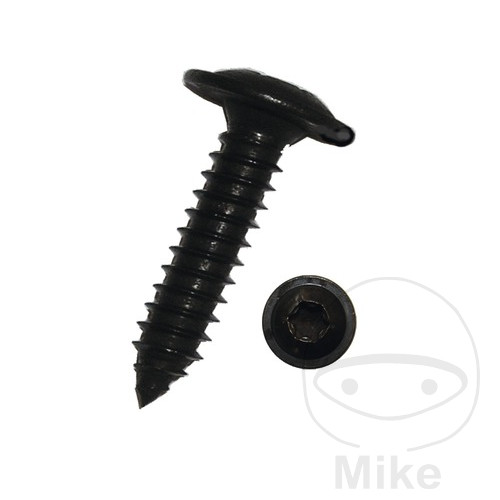 Vis taraudeuse M Torx 3.5X9.5 SHEET METAL SCREW WITH FLANGE 3.9X19