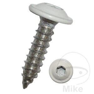 SHEET METAL SCREW WITH FLANGE 4.8X16