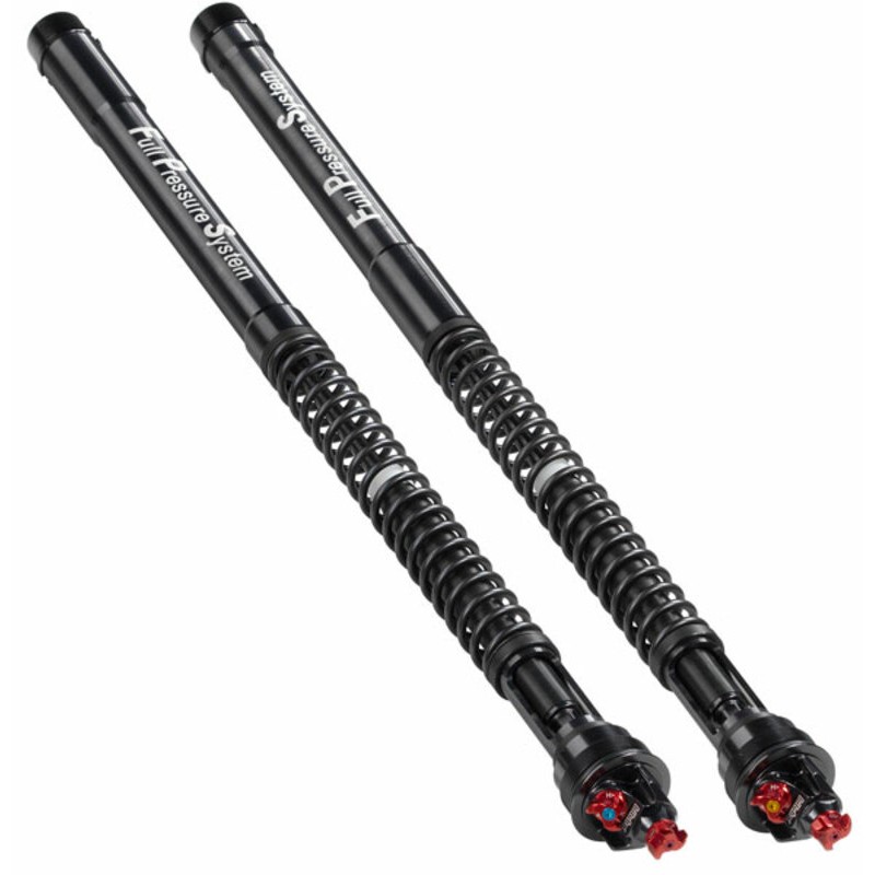 Cartouches de fourche BITUBO ECH29 BMW S1000RR Cartouches de fourche BITUBO ECH29 BMW S1000RR