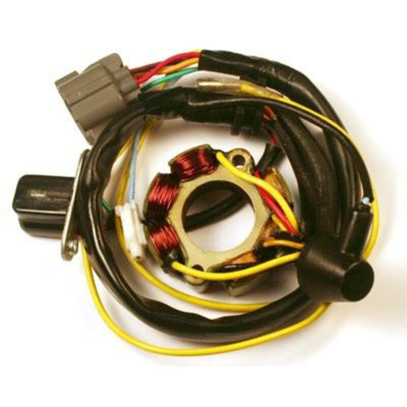 Stator avec bobine d'éclairage ELECTROSPORT - Suzuki RM-Z250 Stator avec bobine d'������clairage ELECTROSPORT - Suzuki RM-Z250