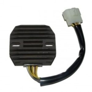 R������gulateur ELECTROSPORT