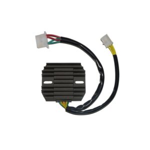 R������gulateur ELECTROSPORT