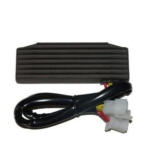 R������gulateur ELECTROSPORT