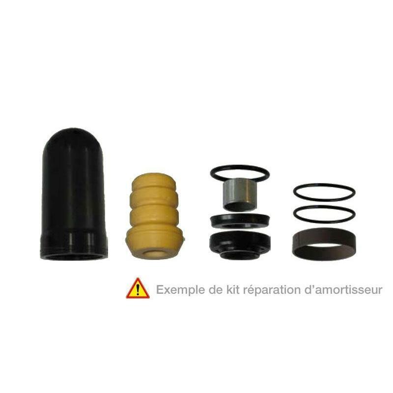 Pièce détachée - KIT REPARATION D'AMORTISSEUR KYB 46/16MM KXF250 04-05/RM250 01-03 RMZ250 04-06 Pièce détachée - KIT REPARATION D'AMORTISSEUR KYB 46/16MM KXF250 04-05/RM250 01-03 RMZ250 04-06